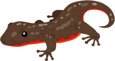 Newt's image