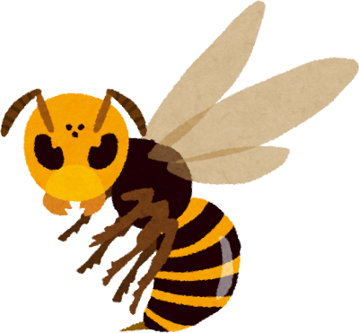 Wasp's image