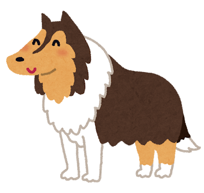 Collie's image