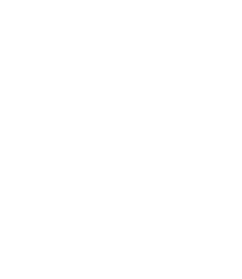 Black Eagle Strike Force's image