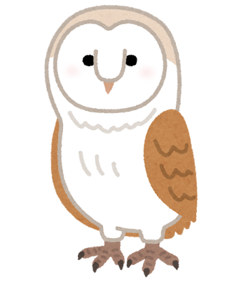 Owl's image
