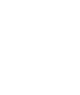 Revolutionary Army's image