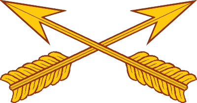 United States Army Special Forces's image