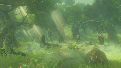 Korok Forest's image