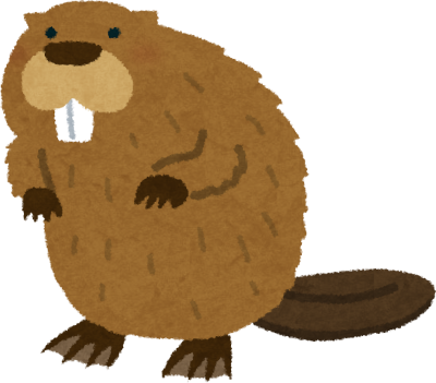 Beaver's image