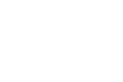 TEMPUS's image