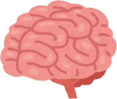 Brain's image
