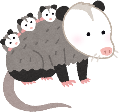 Opossum's image
