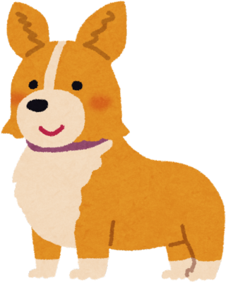 Corgi's image