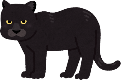 Panther's image