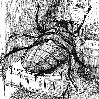 Gregor Samsa's image