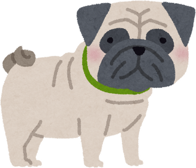 Pug's image