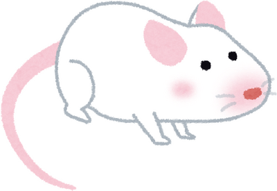 Mouse's image