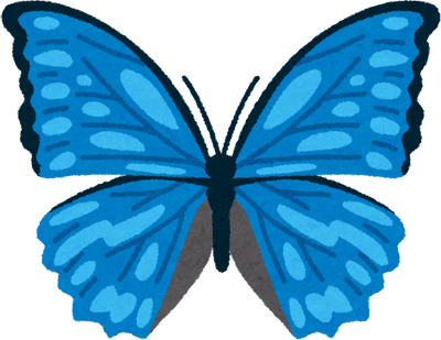 Butterfly's image