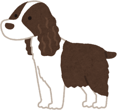 Spaniel's image