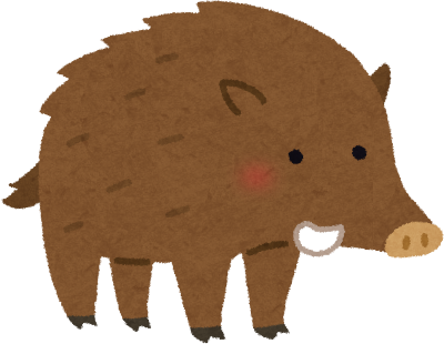 Boar's image