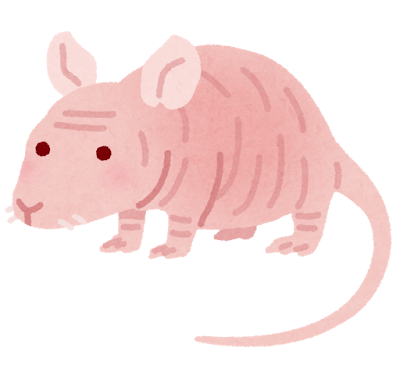 Hairless's image
