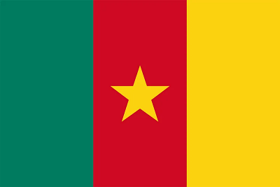 Cameroonian's image