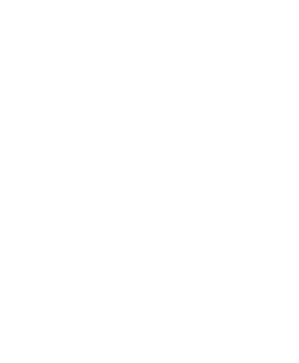 Team P's image