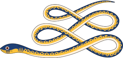 Apep's image