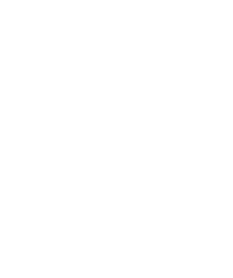Vichya Dominion's image