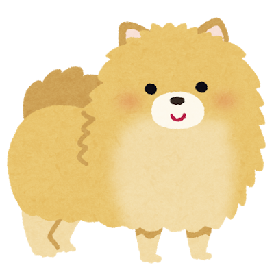 Pomeranian's image