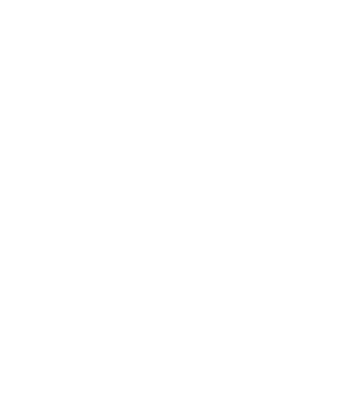 Kokiri's image