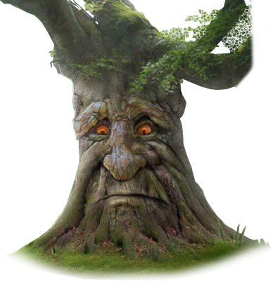 Tree's image