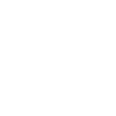 Ninja (StW)'s image
