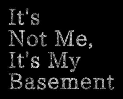 It's Not Me, It's My Basement's image