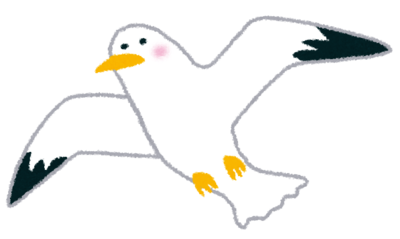 Seagull's image