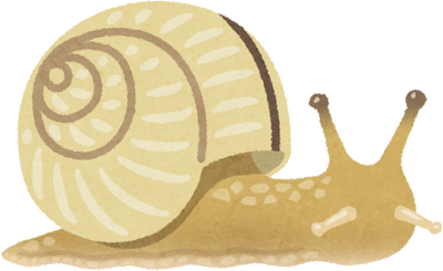 Snail's image