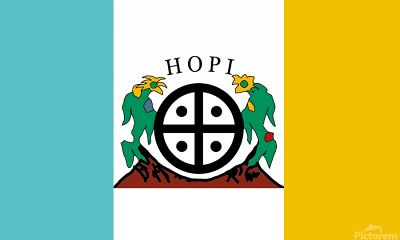Hopisinom's image