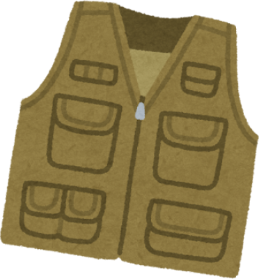 Vest's image