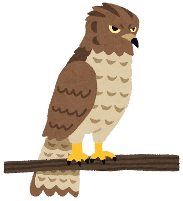 Hawk's image
