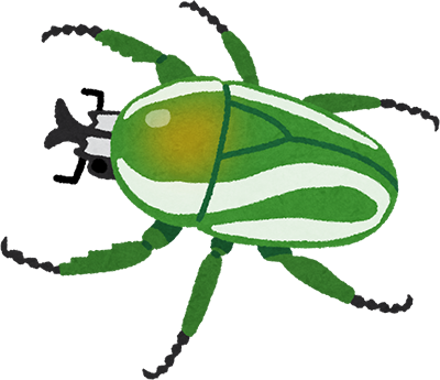 Beetle's image