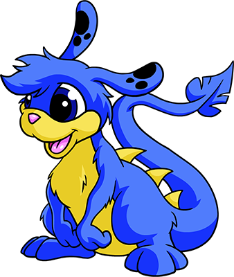 Zafara's image