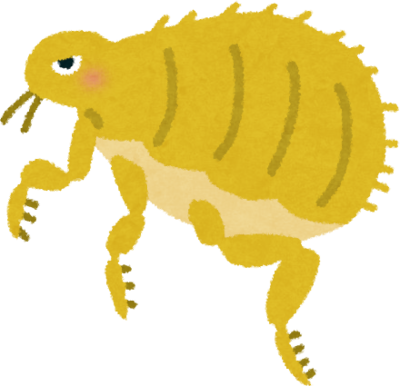 Flea's image