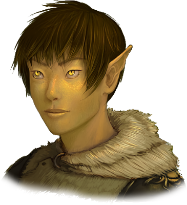 Wood Elf's image