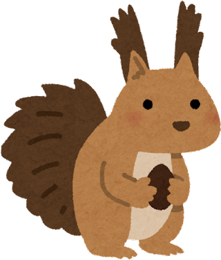 Squirrel's image