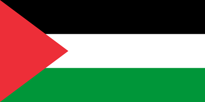 Palestinian's image