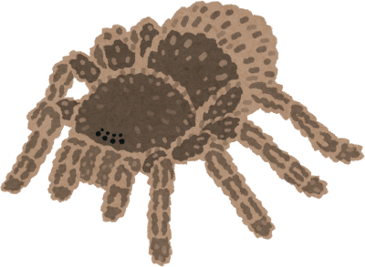 Tarantula's image