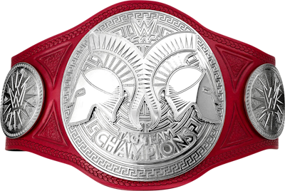 RAW Tag Team Champion's image