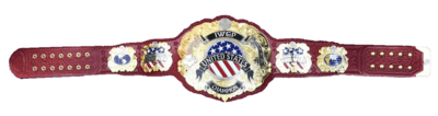 IWGP United States Champion's image