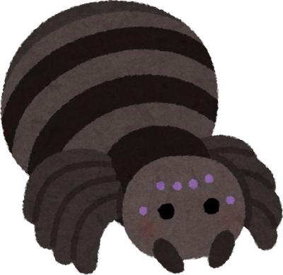 Spider's image