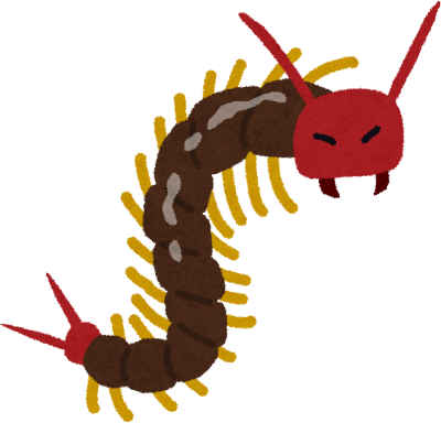 Centipede's image