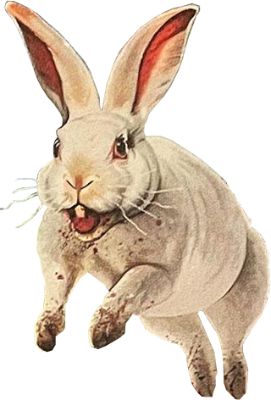Vorpal Bunny's image