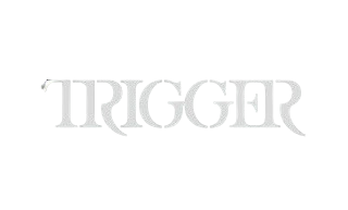 TRIGGER's image