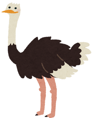 Ostrich's image