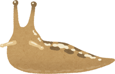 Slug's image